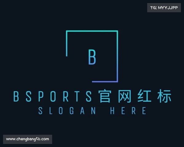 了解bsports官网红标